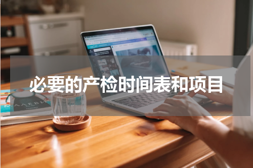 必要的产检时间表和项目