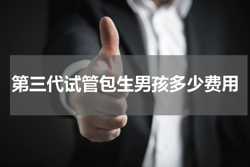 第三代试管包生男孩多少费用
