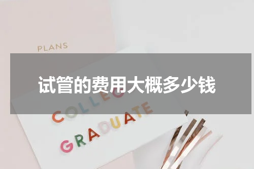 试管的费用大概多少钱