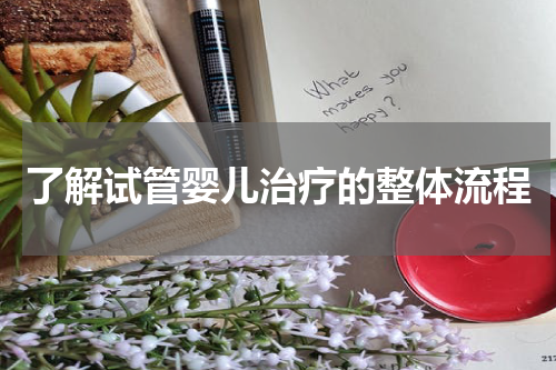 了解试管婴儿治疗的整体流程