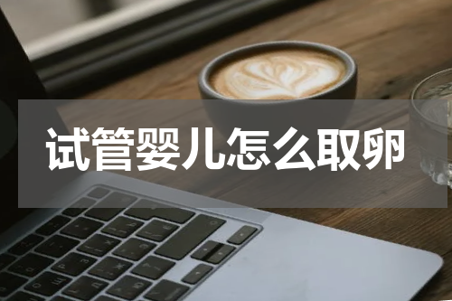 试管婴儿怎么取卵