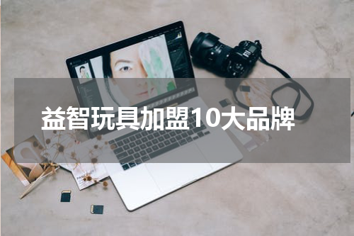 益智玩具加盟10大品牌