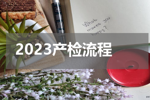 2023产检流程