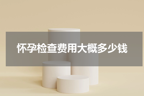 怀孕检查费用大概多少钱