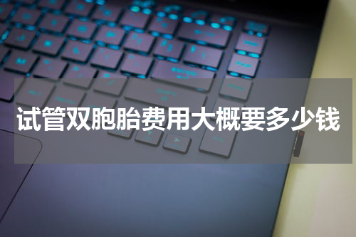 试管双胞胎费用大概要多少钱