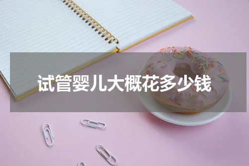 试管婴儿大概花多少钱