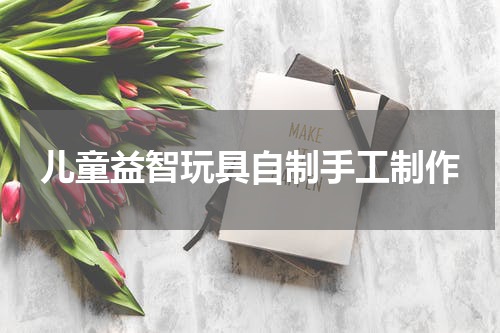 儿童益智玩具自制手工制作