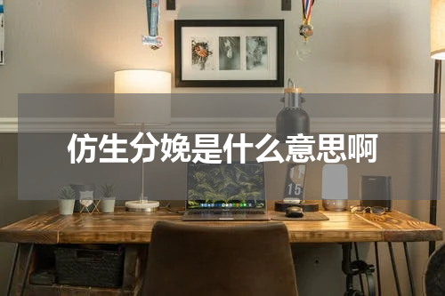 仿生分娩是什么意思啊