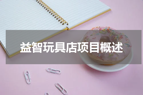 益智玩具店项目概述