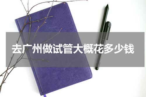 去广州做试管大概花多少钱