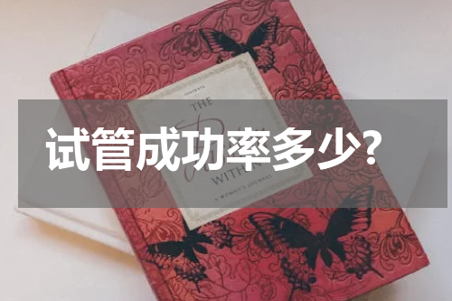 试管成功率多少?