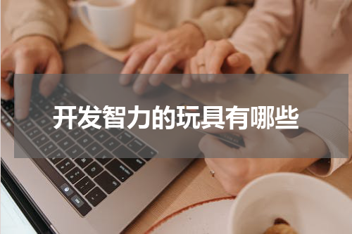 开发智力的玩具有哪些