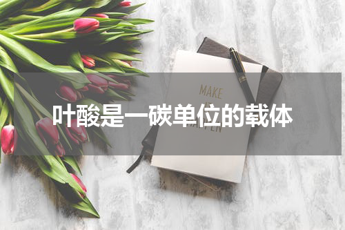 叶酸是一碳单位的载体