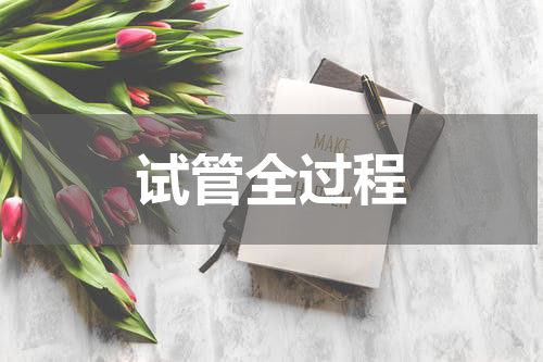 试管全过程