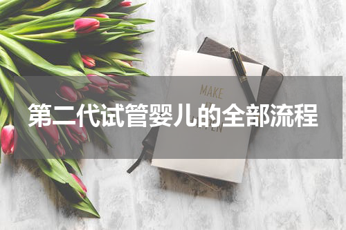 第二代试管婴儿的全部流程