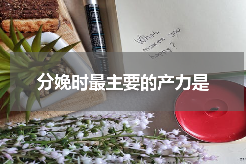 分娩时最主要的产力是
