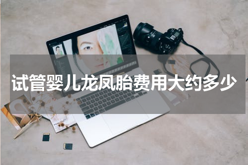 试管婴儿龙凤胎费用大约多少