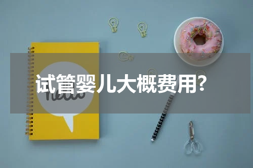 试管婴儿大概费用?