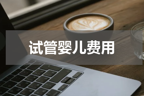 试管婴儿费用
