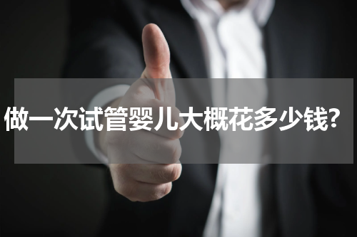 做一次试管婴儿大概花多少钱?