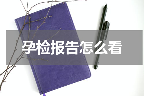 孕检报告怎么看