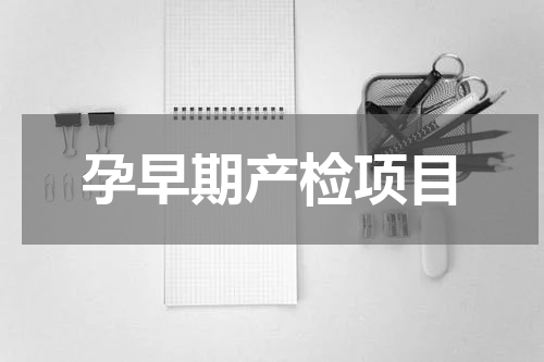 孕早期产检项目