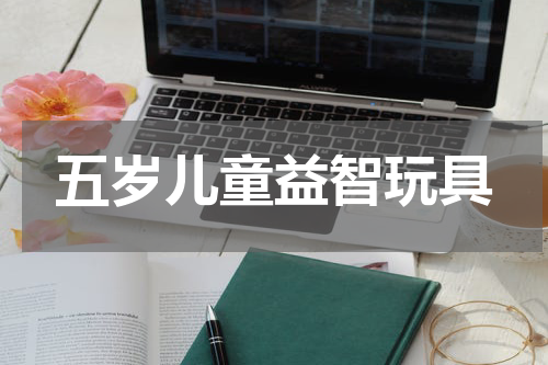 五岁儿童益智玩具