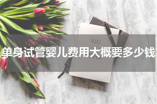 单身试管婴儿费用大概要多少钱