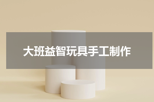 大班益智玩具手工制作