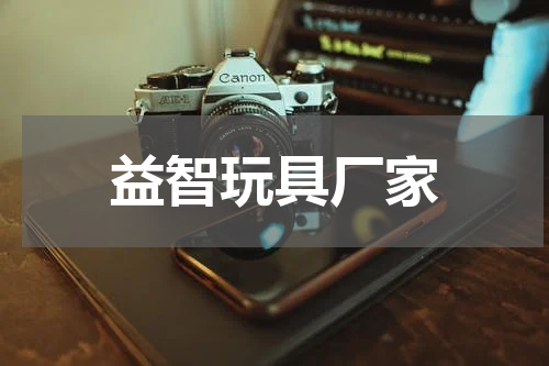 益智玩具厂家
