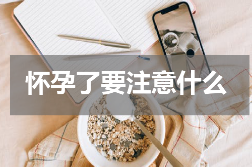 怀孕了要注意什么