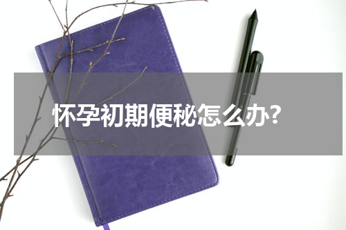 怀孕初期便秘怎么办?