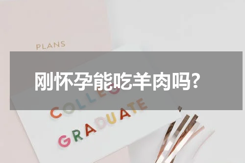 刚怀孕能吃羊肉吗?
