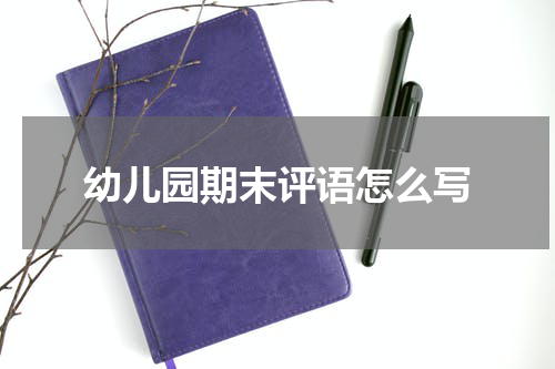 幼儿园期末评语怎么写