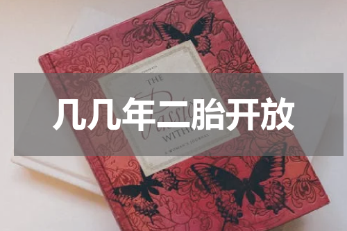 几几年二胎开放