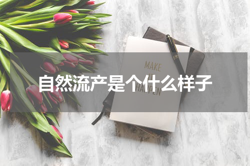 自然流产是个什么样子