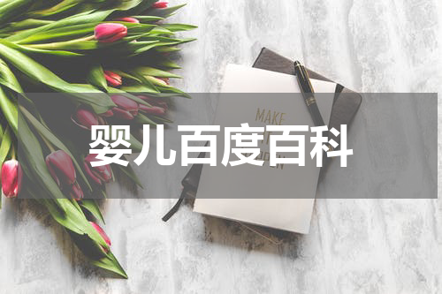婴儿百度百科