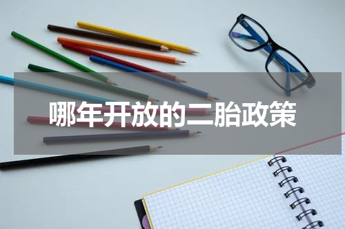 哪年开放的二胎政策