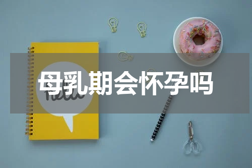 母乳期会怀孕吗