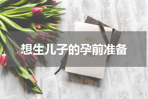 想生儿子的孕前准备