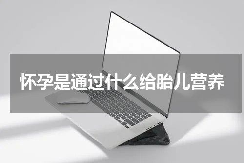 怀孕是通过什么给胎儿营养