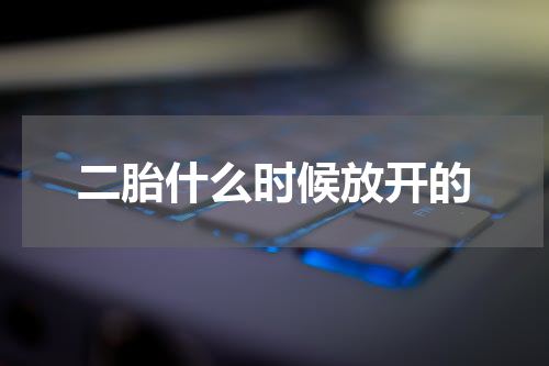 二胎什么时候放开的