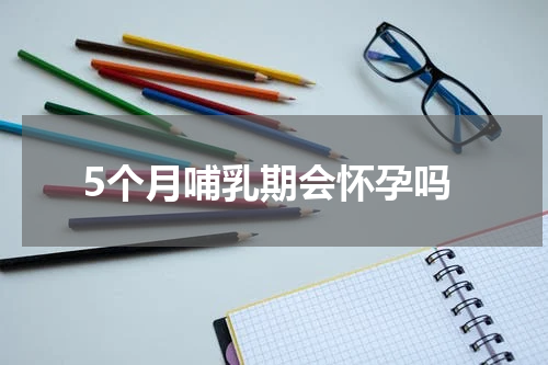 5个月哺乳期会怀孕吗
