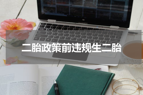 二胎政策前违规生二胎