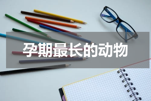 孕期最长的动物
