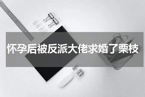 怀孕后被反派大佬求婚了栗枝