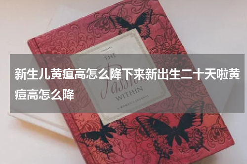 新生儿黄疸高怎么降下来新出生二十天啦黄痘高怎么降