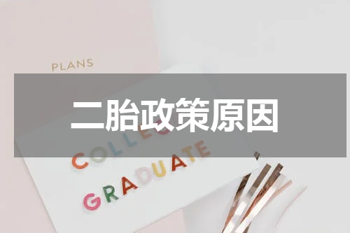 二胎政策原因