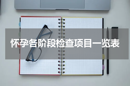 怀孕各阶段检查项目一览表