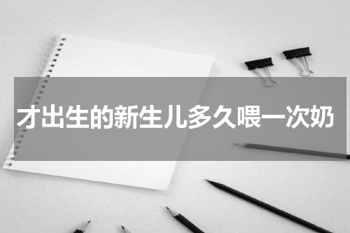 才出生的新生儿多久喂一次奶